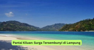 Pantai Kiluan Surga Tersembunyi di Lampung