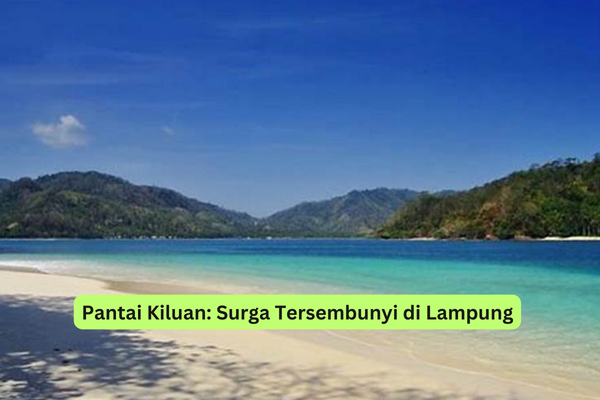 Pantai Kiluan Surga Tersembunyi di Lampung