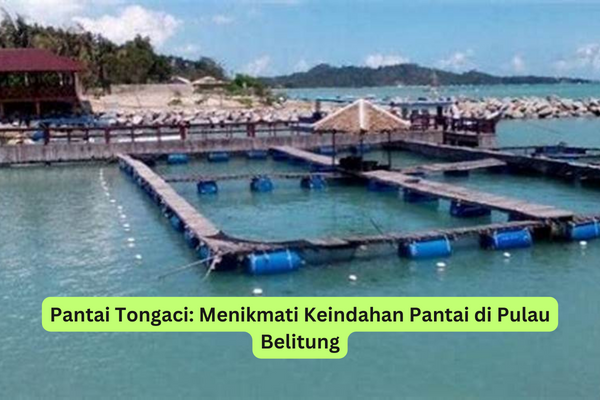 Pantai Tongaci Menikmati Keindahan Pantai di Pulau Belitung