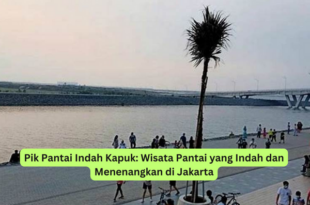 Pik Pantai Indah Kapuk Wisata Pantai yang Indah dan Menenangkan di Jakarta