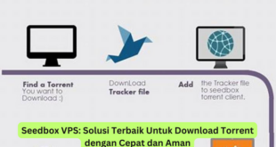 Seedbox VPS Solusi Terbaik Untuk Download Torrent dengan Cepat dan Aman