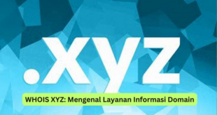 WHOIS XYZ Mengenal Layanan Informasi Domain