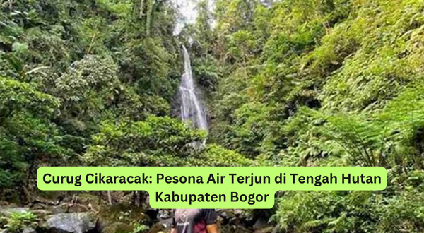 Curug Cikaracak Pesona Air Terjun di Tengah Hutan Kabupaten Bogor