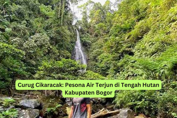 Curug Cikaracak Pesona Air Terjun di Tengah Hutan Kabupaten Bogor