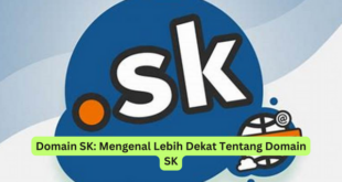 Domain SK Mengenal Lebih Dekat Tentang Domain SK