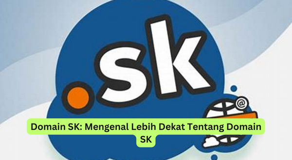 Domain SK Mengenal Lebih Dekat Tentang Domain SK