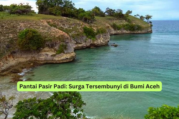 Pantai Pasir Padi Surga Tersembunyi di Bumi Aceh