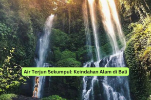 Air Terjun Sekumpul Keindahan Alam di Bali