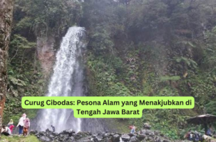 Curug Cibodas Pesona Alam yang Menakjubkan di Tengah Jawa Barat