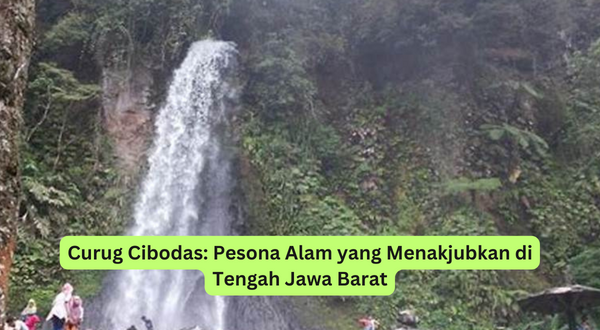 Curug Cibodas Pesona Alam yang Menakjubkan di Tengah Jawa Barat