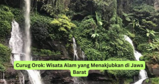 Curug Orok Wisata Alam yang Menakjubkan di Jawa Barat