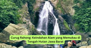 Curug Rahong Keindahan Alam yang Memukau di Tengah Hutan Jawa Barat