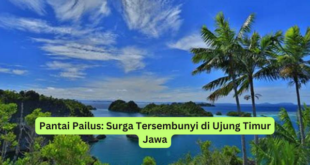 Pantai Pailus Surga Tersembunyi di Ujung Timur Jawa