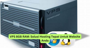 VPS 8GB RAM Solusi Hosting Tepat Untuk Website Anda