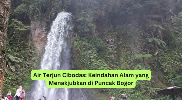 Air Terjun Cibodas Keindahan Alam yang Menakjubkan di Puncak Bogor
