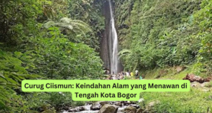 Curug Ciismun Keindahan Alam yang Menawan di Tengah Kota Bogor