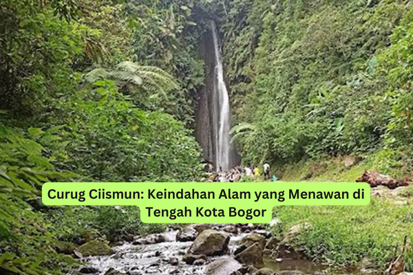 Curug Ciismun Keindahan Alam yang Menawan di Tengah Kota Bogor