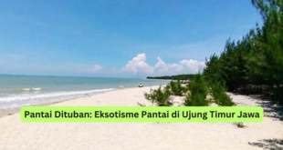 Pantai Dituban Eksotisme Pantai di Ujung Timur Jawa