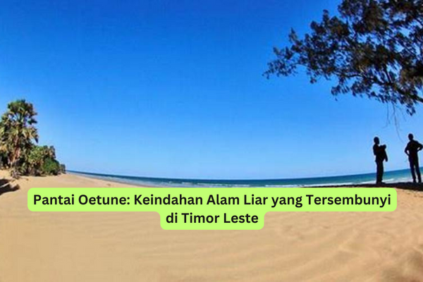 Pantai Oetune Keindahan Alam Liar yang Tersembunyi di Timor Leste