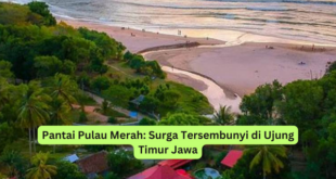 Pantai Pulau Merah Surga Tersembunyi di Ujung Timur Jawa