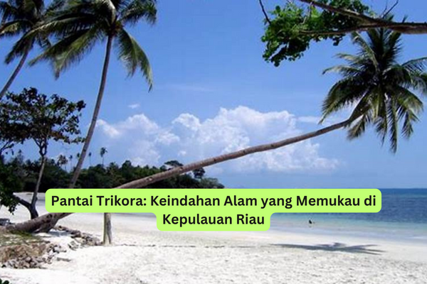 Pantai Trikora Keindahan Alam yang Memukau di Kepulauan Riau