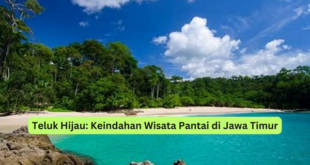 Teluk Hijau Keindahan Wisata Pantai di Jawa Timur