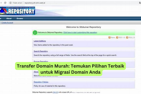 Transfer Domain Murah Temukan Pilihan Terbaik untuk Migrasi Domain Anda