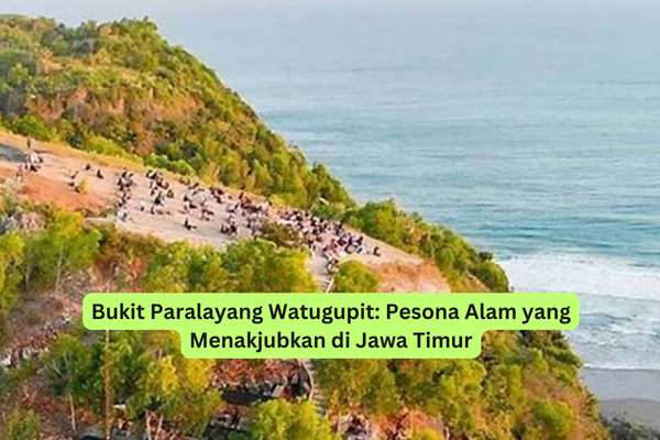 Bukit Paralayang Watugupit Pesona Alam yang Menakjubkan di Jawa Timur