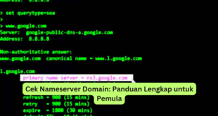 Cek Nameserver Domain Panduan Lengkap untuk Pemula
