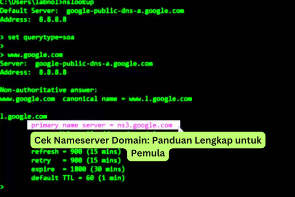 Cek Nameserver Domain Panduan Lengkap untuk Pemula