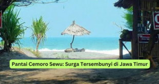 Pantai Cemoro Sewu Surga Tersembunyi di Jawa Timur