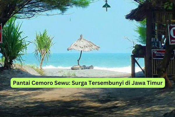 Pantai Cemoro Sewu Surga Tersembunyi di Jawa Timur
