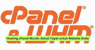 Hosting cPanel Murah Solusi Tepat untuk Website Anda