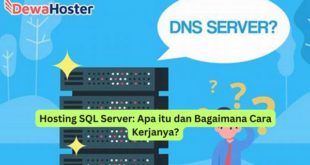 Hosting SQL Server Apa itu dan Bagaimana Cara Kerjanya