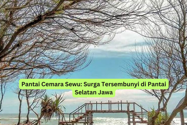 Pantai Cemara Sewu Surga Tersembunyi di Pantai Selatan Jawa