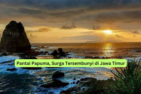 Pantai Papuma, Surga Tersembunyi di Jawa Timur