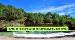 Pantai di Pacitan Surga Tersembunyi di Jawa Timur