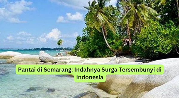 Pantai di Semarang Indahnya Surga Tersembunyi di Indonesia