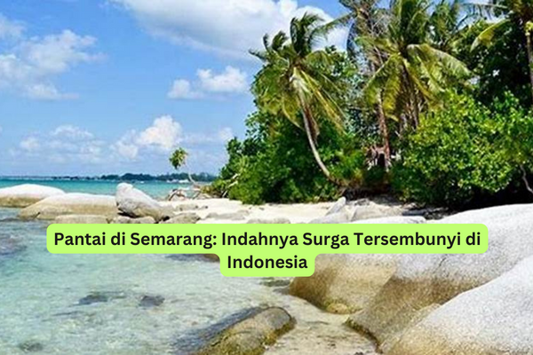 Pantai di Semarang Indahnya Surga Tersembunyi di Indonesia