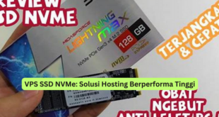 VPS SSD NVMe Solusi Hosting Berperforma Tinggi