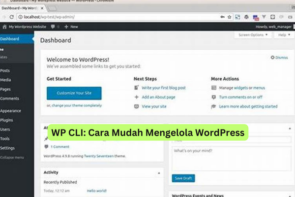 WP CLI Cara Mudah Mengelola WordPress