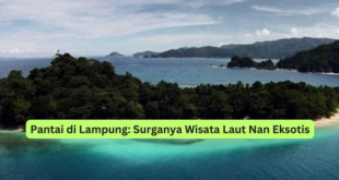 Pantai di Lampung Surganya Wisata Laut Nan Eksotis