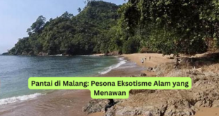 Pantai di Malang Pesona Eksotisme Alam yang Menawan