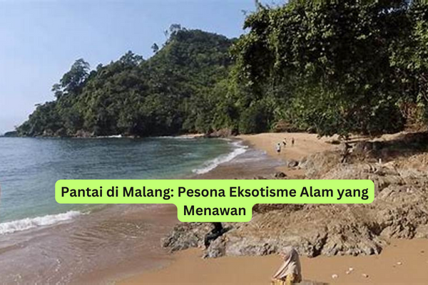 Pantai di Malang Pesona Eksotisme Alam yang Menawan
