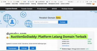 AuctionGoDaddy Platform Lelang Domain Terbaik