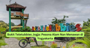 Bukit Teletubbies Jogja Pesona Alam Nan Menawan di Yogyakarta