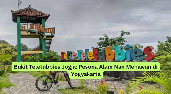 Bukit Teletubbies Jogja Pesona Alam Nan Menawan di Yogyakarta